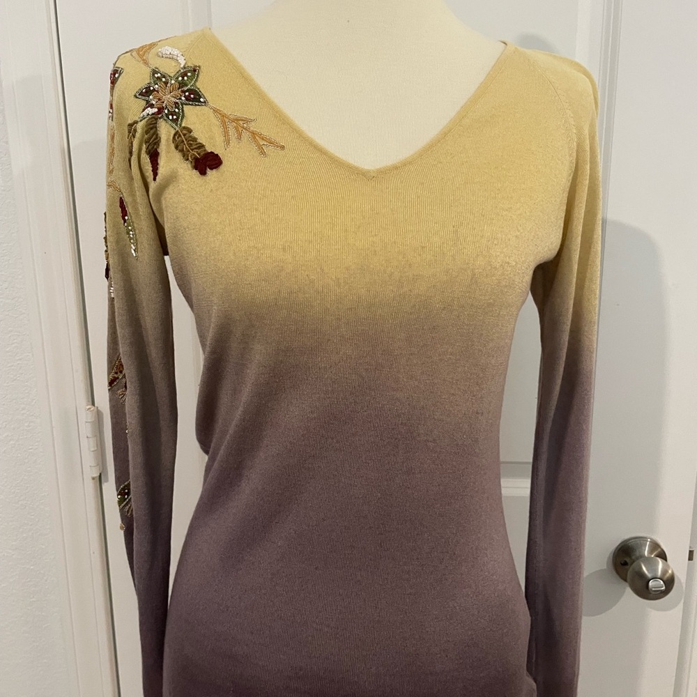 Roberto Cavalli Class ombré sweater